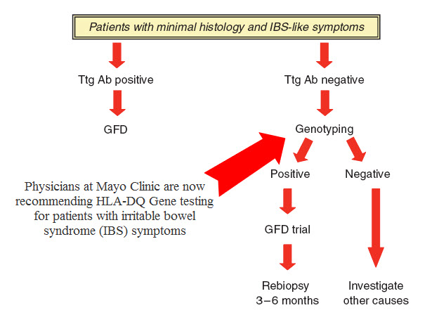 tests  irritable bowel syndrome