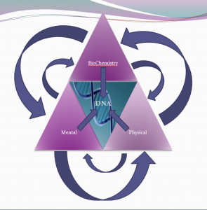 Functional Medicine uses the Triangle of Health Approach