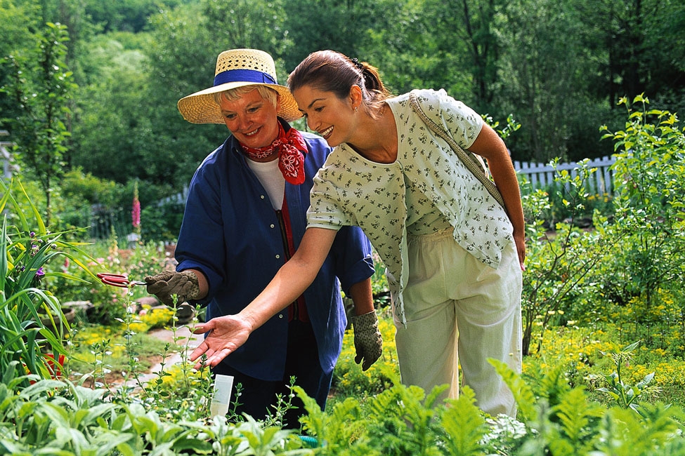 Nutrition and Functional Medicine Gardening